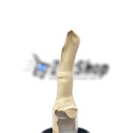 No : 1 Me Now BB Blemish Balm Cream , M.N Foundation