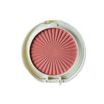 Might Cinema Double Face Powder & Blusher Matte Model : 2538 No : 101
