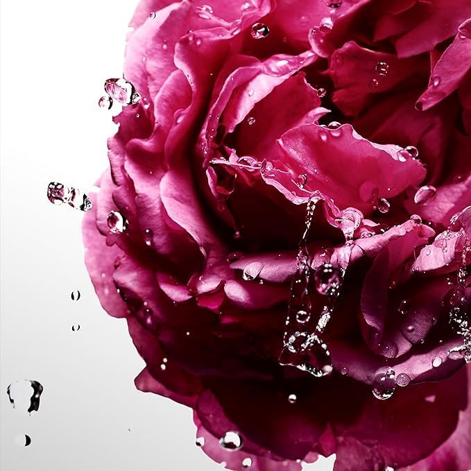 Cool Water Sea Rose Davidoff for Women - Eau De Toilette - 100ml