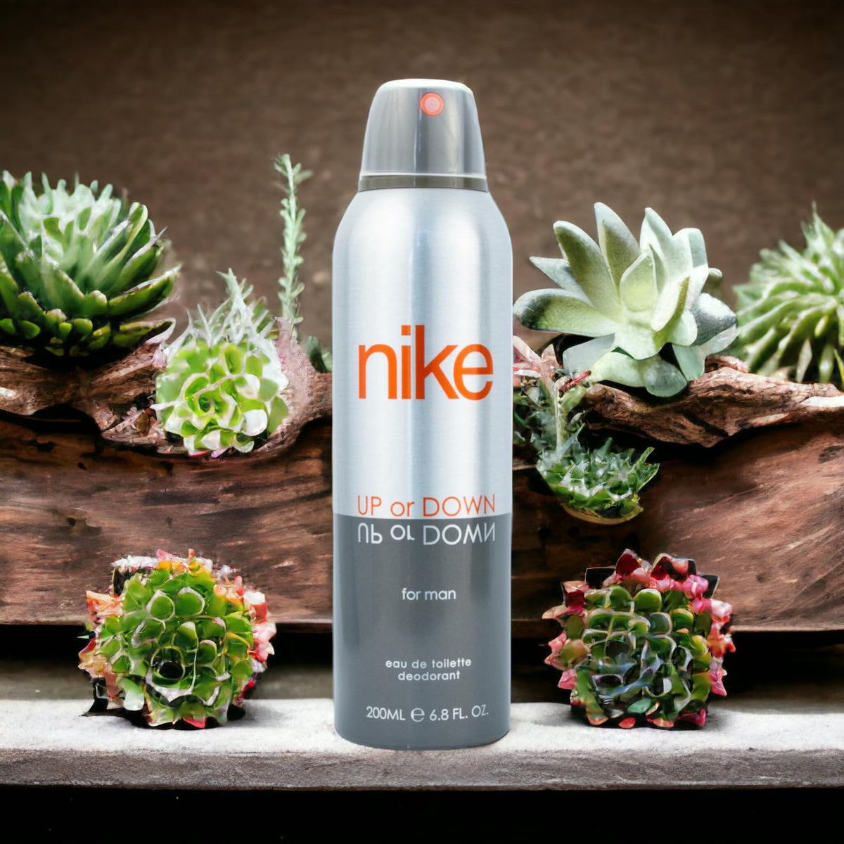 مزيل العرق نايكي أب أور داون سيلفر للرجال، 200 مل