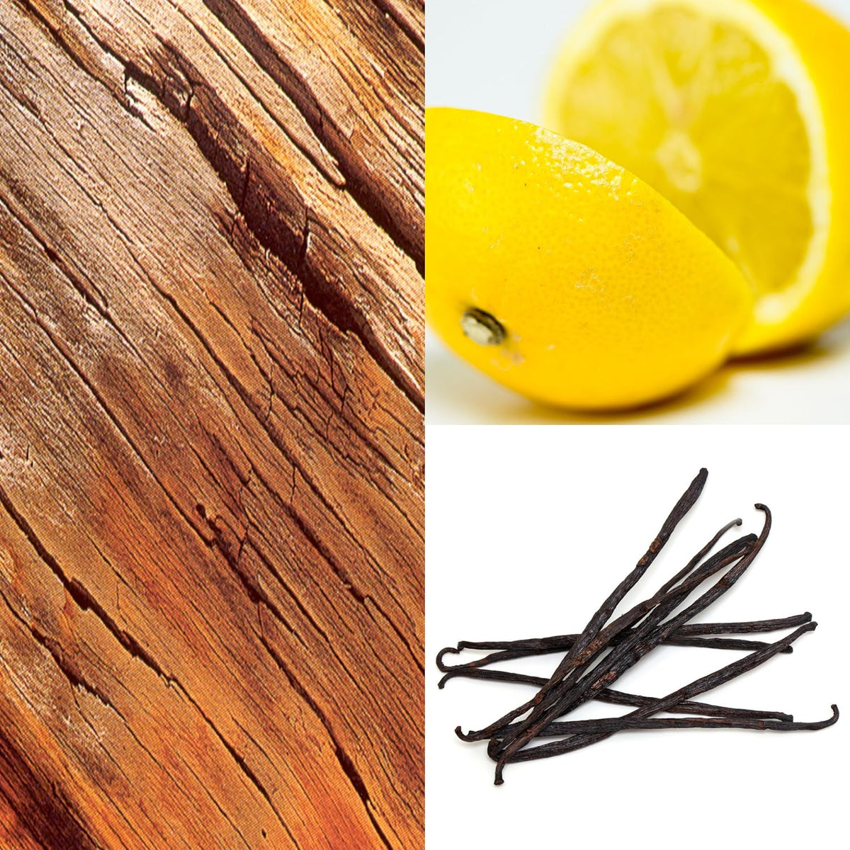 جل الاستحمام أديداس UEFA Champions League Champions Edition للرجال، 250 مل