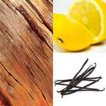 جل الاستحمام أديداس UEFA Champions League Champions Edition للرجال، 250 مل