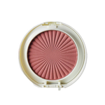 Might Cinema Double Face Powder & Blusher Matte Model : 2538 No : 102