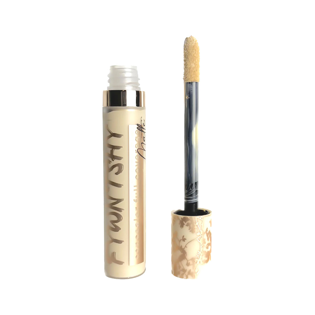 Fywntshy Concealer Full Coverage Matte - 101