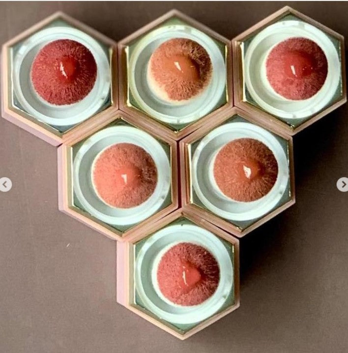 Might Cinema Lifter Blusher Model : 4041 Color No: 205