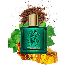 روبرتو كافالي أومو فيردي أسولوتو للرجال - ماء عطر - 100 مل