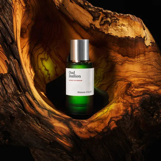 Oud Stallion by Maison Crivelli for Unisex - Extrait de Parfum - 50ml