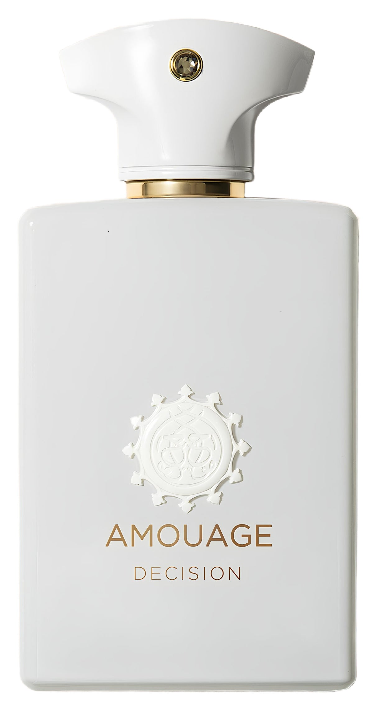 Amouage Decision for Unisex - Eau de Parfum - 100ml