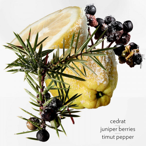 Terre D'Hermes Eau Givree by Hermes for Men - EDP - 100ML