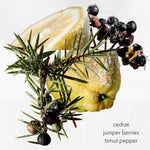 Terre D'Hermes Eau Givree by Hermes for Men - EDP - 100ML