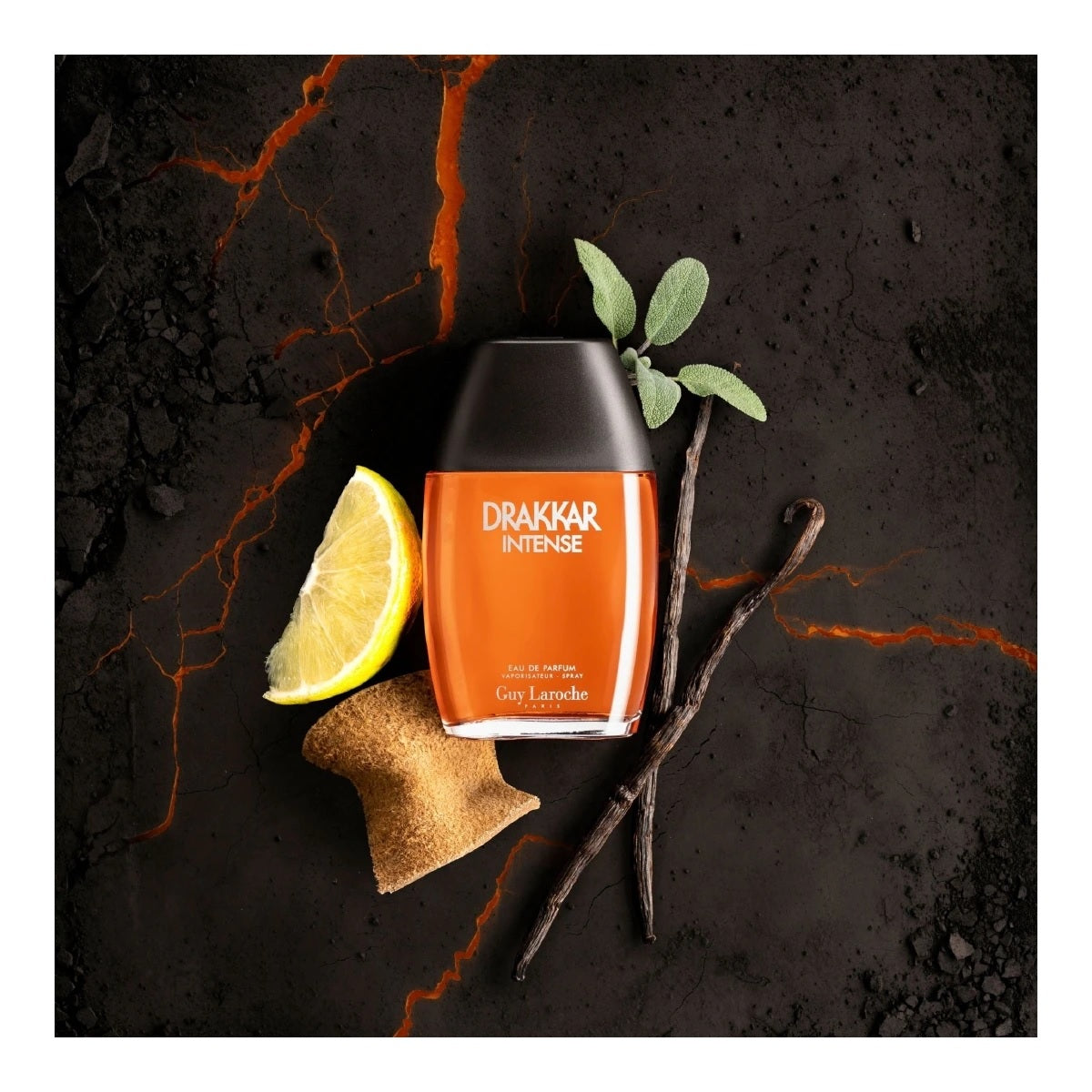 Drakkar Intense Guy Laroche for Men - Eau de Parfum - 100ml
