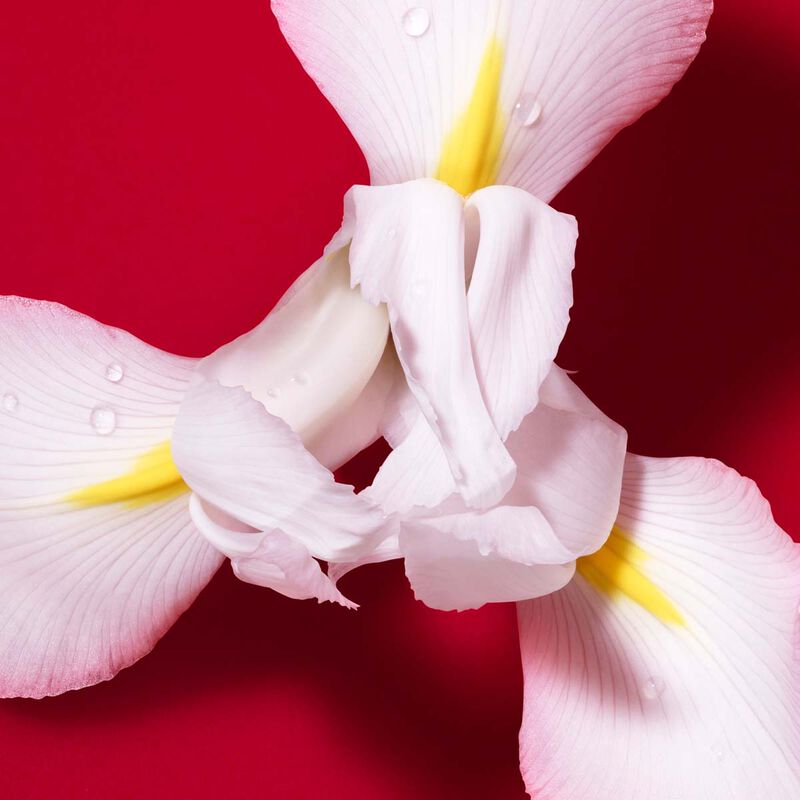 Sì Passione Red Bloom by Giorgio Armani for Women - Eau de Parfum - 100ml