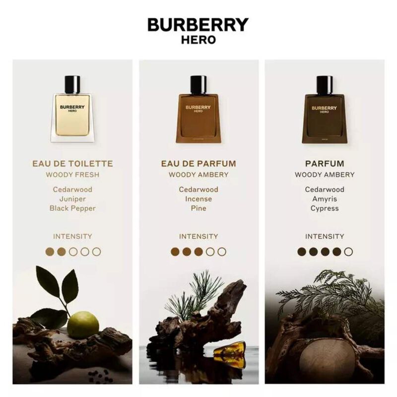 بربري هيرو للرجال - عطر - 100 مل