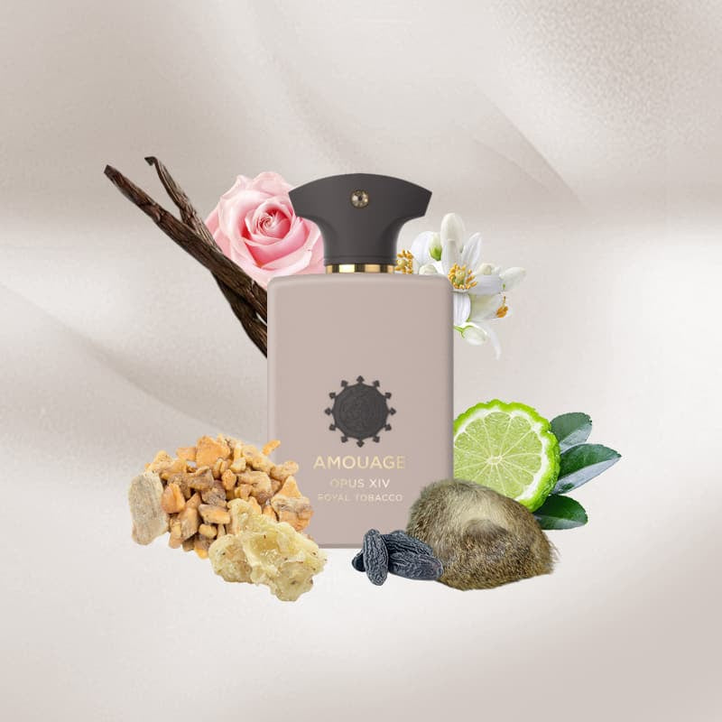 Opus XIV – Royal Tobacco Amouage for Unisex - Eau de Parfum - 100ml