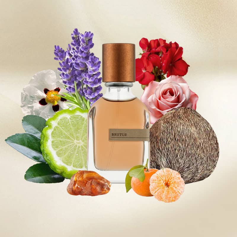 Brutus by Orto Parisi for Unisex - Eau de Parfum - 50ml