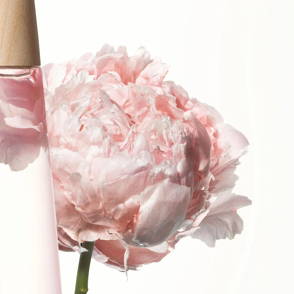 L'Eau d'Issey Pivoine Issey Miyake for Women - Eau de Toilette intense - 100ml