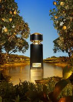 Bvlgari Le Gemme Tygar for men - Eau de Parfum - 125ml