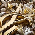 Libre Vanille Couture by Yves Saint Laurent for Women - Eau de Parfum - 50ml