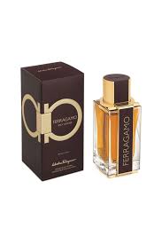 Spicy Leather by Salvatore Ferragamo for Men - Eau de Toilette - 100ml