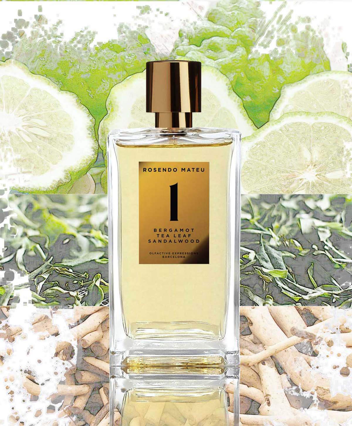 Rosendo Mateu Nº 1 Bergamot, Tea Leaf, Sandalwood for Unisex - EDP - 100ml