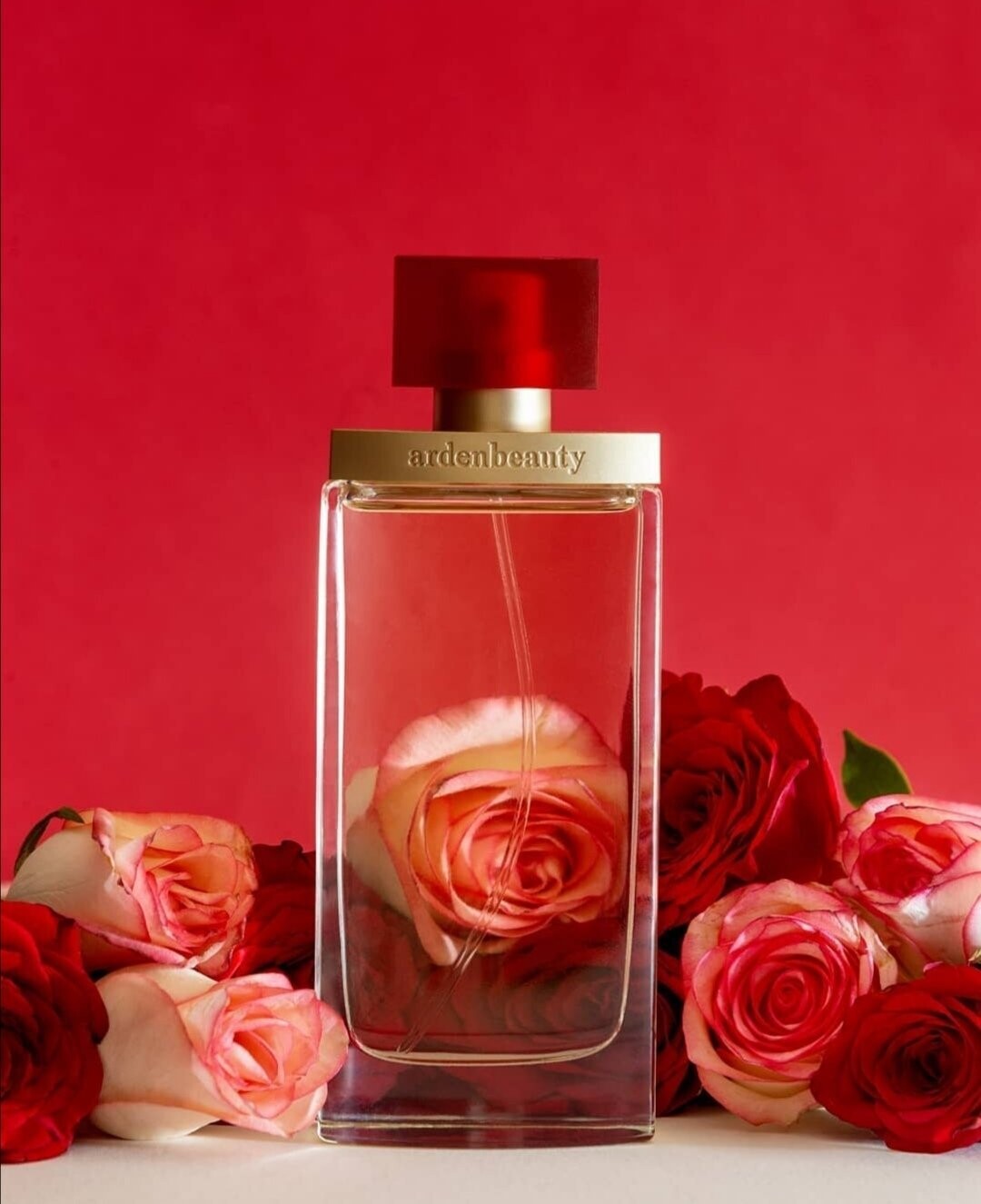 Fragrance Arden Beauty Eau De Parfum 100ml Elizabeth Arden Arden